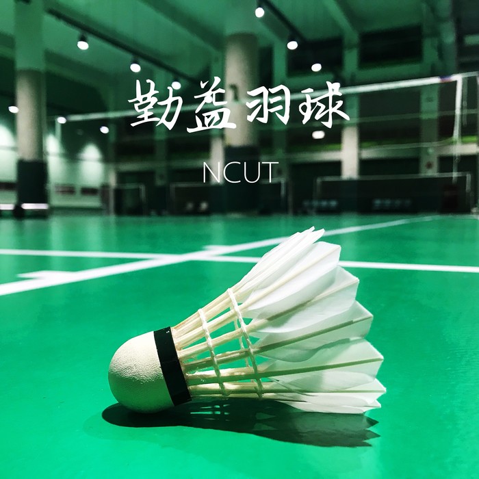 D03-羽球社圖片