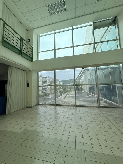 B12-模擬賽車社圖片